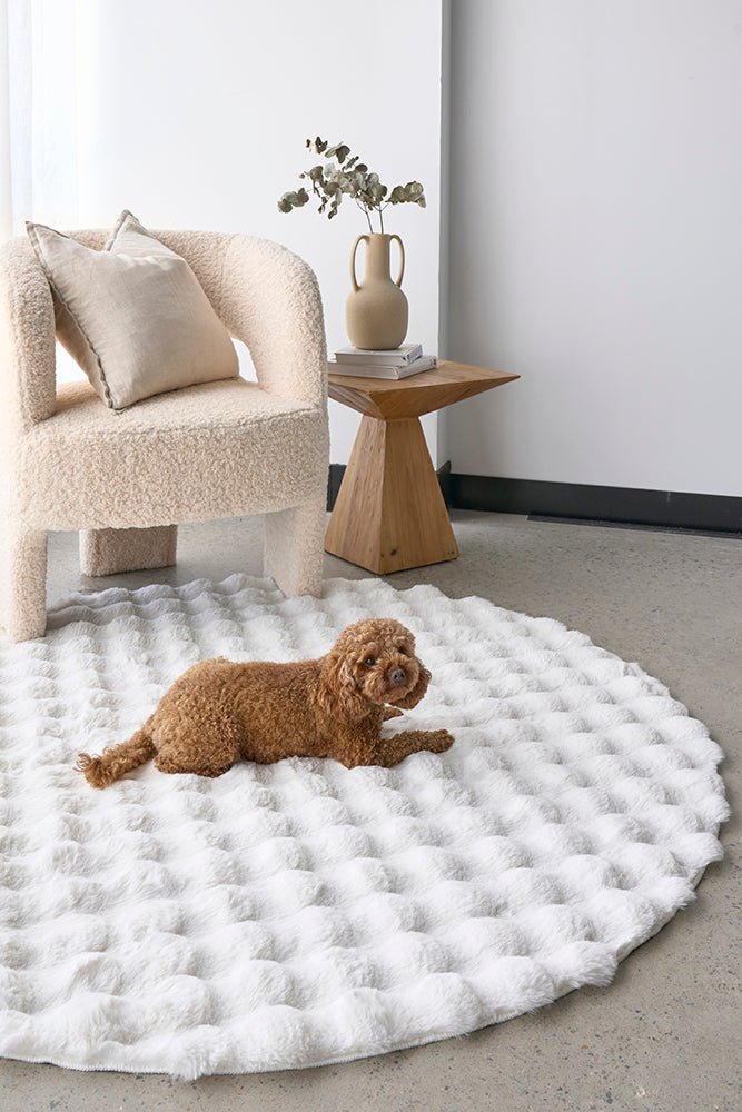 Bubble White Round - Machine Washable RugBUB - WHITE - 100X100Rugtastic