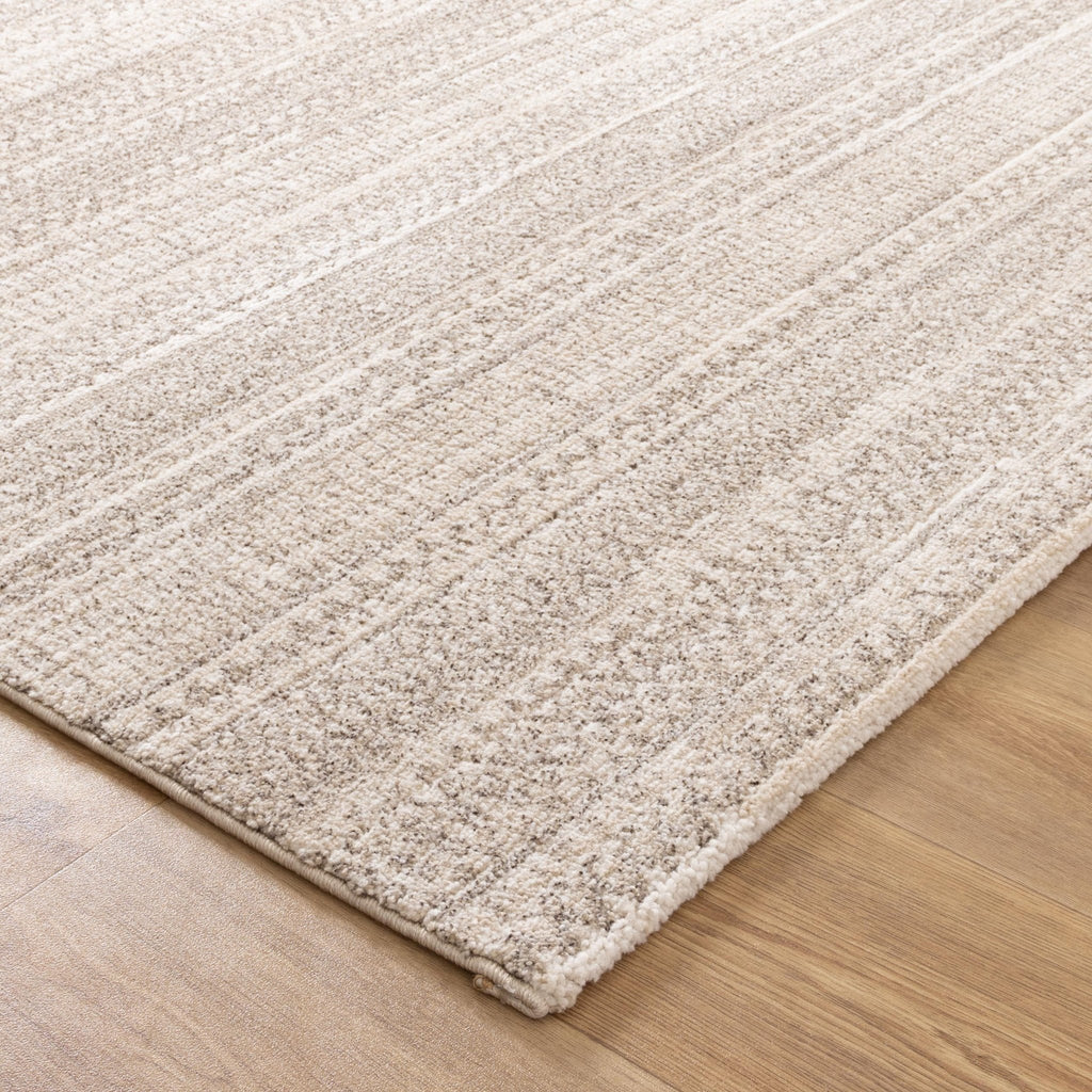 Clarinda Distressed Tribal Beige Rug - C101CLAR160C101Rugtastic