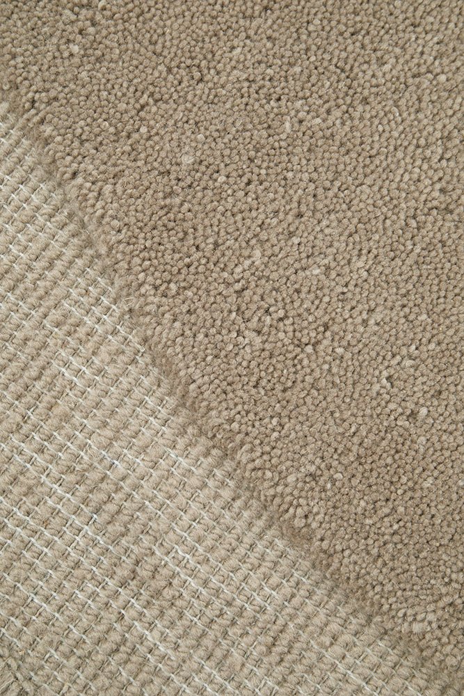 Cleo Latte RugCLEO - LATTE - 165X115Rugtastic