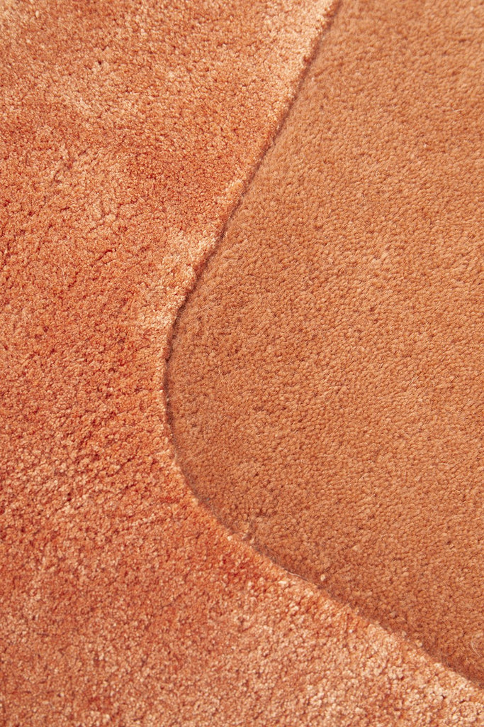 Hugo Spice RugHUGO - SPICE - 165X115Rugtastic