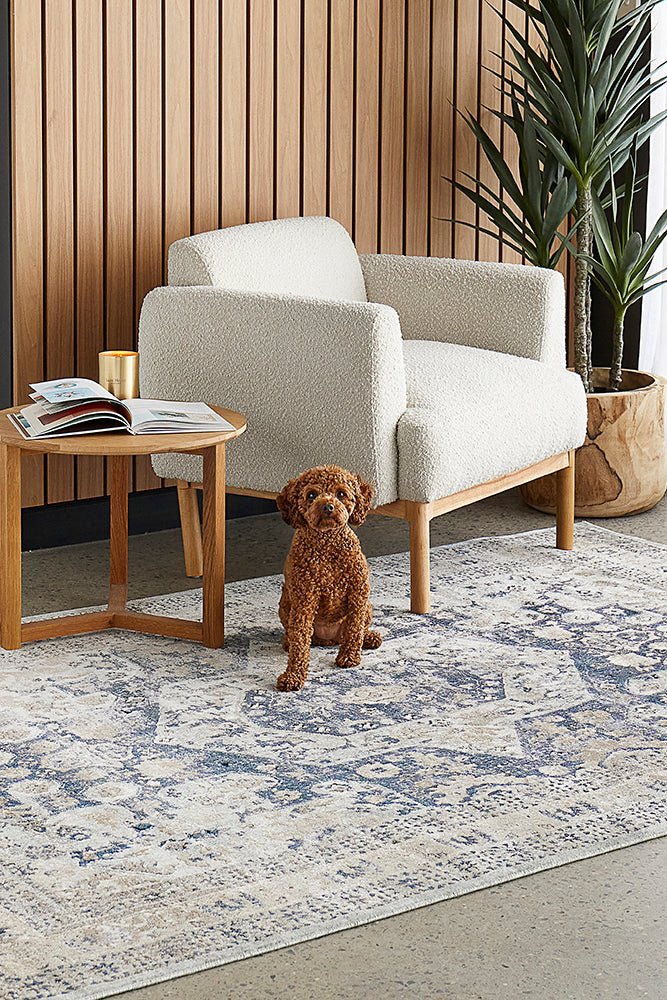Providence 834 Blue Transitional RugPVD-834-BLU-230X160Rugtastic
