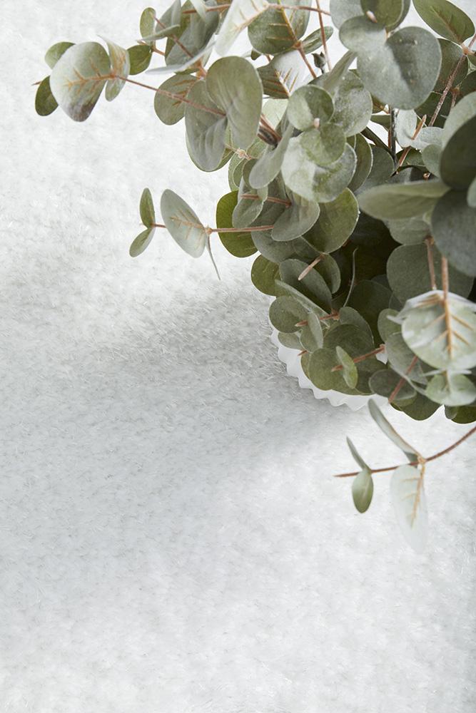 Sienna White RugSIE-WHITE-170X120Rugtastic