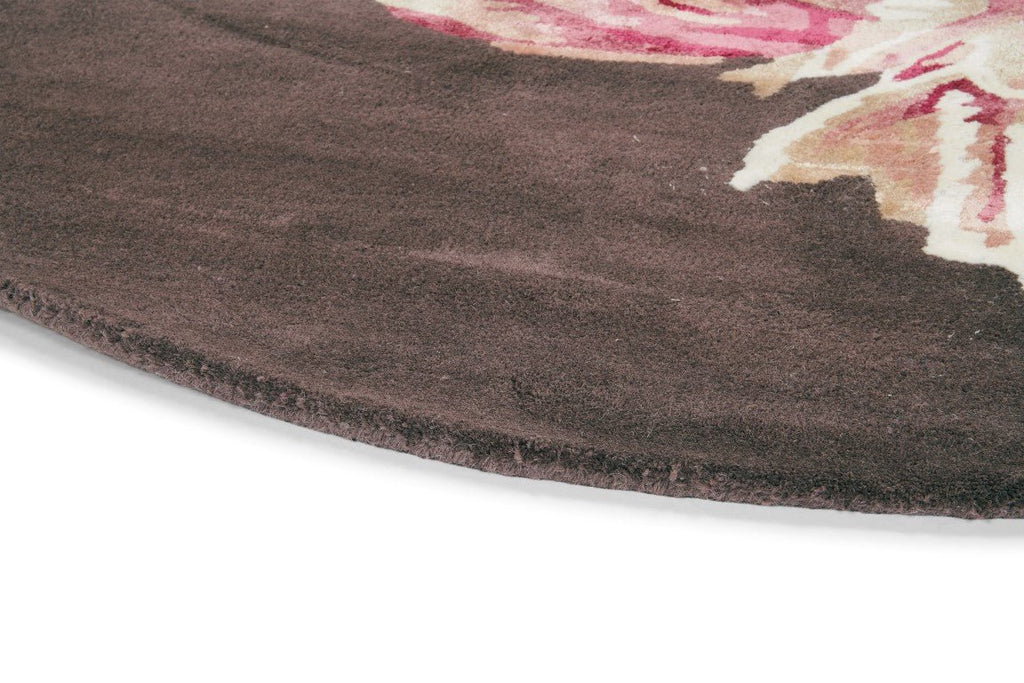 Ted Baker Tranquility Aubergine 56005BC-TED-56005-150X150Rugtastic
